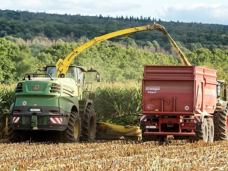 Белгородские аграрии приступили к уборке кукурузы на зерно