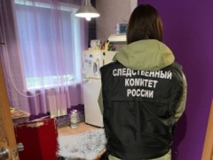 Жительница Сахалина несколько раз ударила кухонным ножом своего сожителя