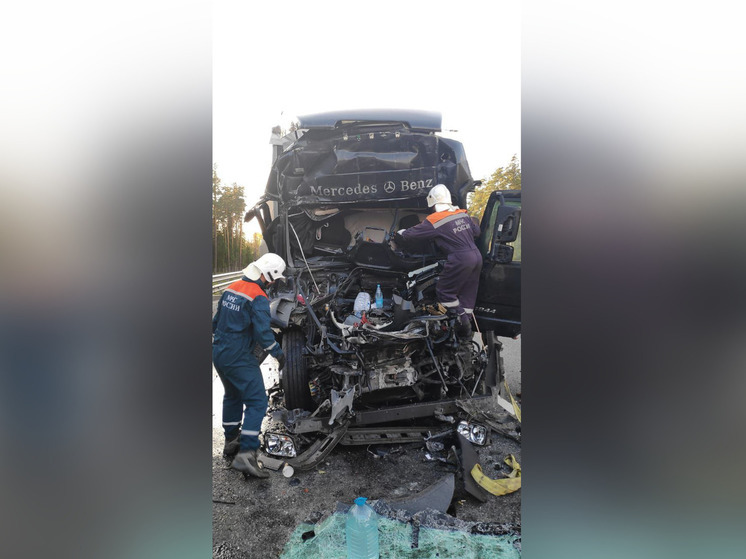 На трассе М-11 в Маловишерском районе один грузовик врезался в другой