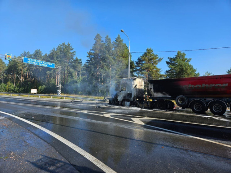 Суд арестовал участника ДТП на въезде в Карелию, где заживо сгорели два человека