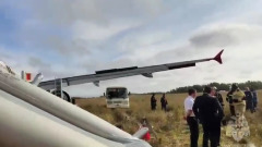 Самолет "Сочи-Омск" аварийно сел в Новосибирской области: видео с места