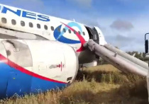Следователи приступили к допросу пилота Сергея Белова – командира экипажа «Аэробуса», совершившего аварийную посадку в поле в Новосибирской области во вторник утром