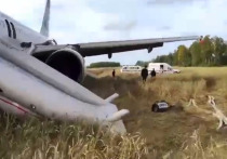 Летное происшествие в Новосибирской области, где экстренно совершил посадку в поле пассажирский самолет Airbus A320, остро ставит вопрос технического обслуживания западной авиационной техники