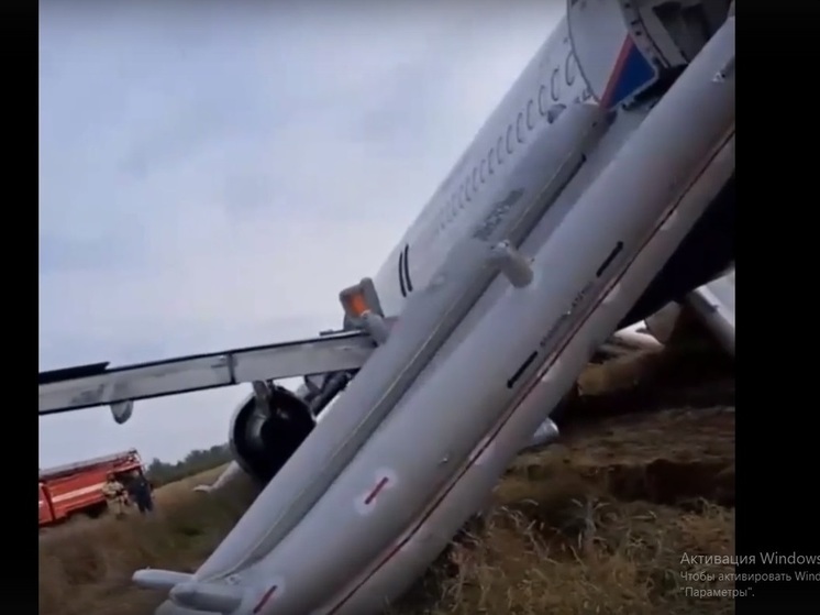 Пассажиры рассказали о подготовке Airbus к посадке в поле под Новосибирском