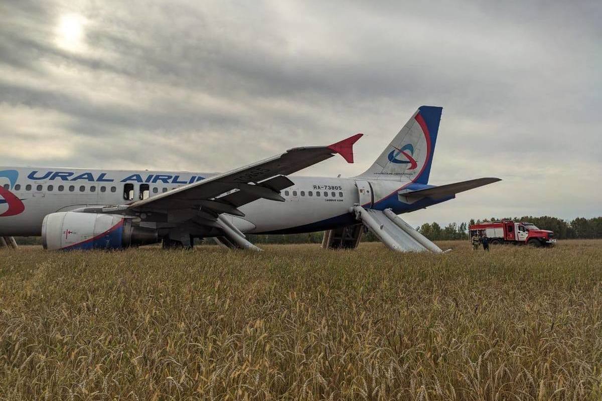 Командир самолета Сергей Белов рассказал, как решил сесть на пшеничное поле