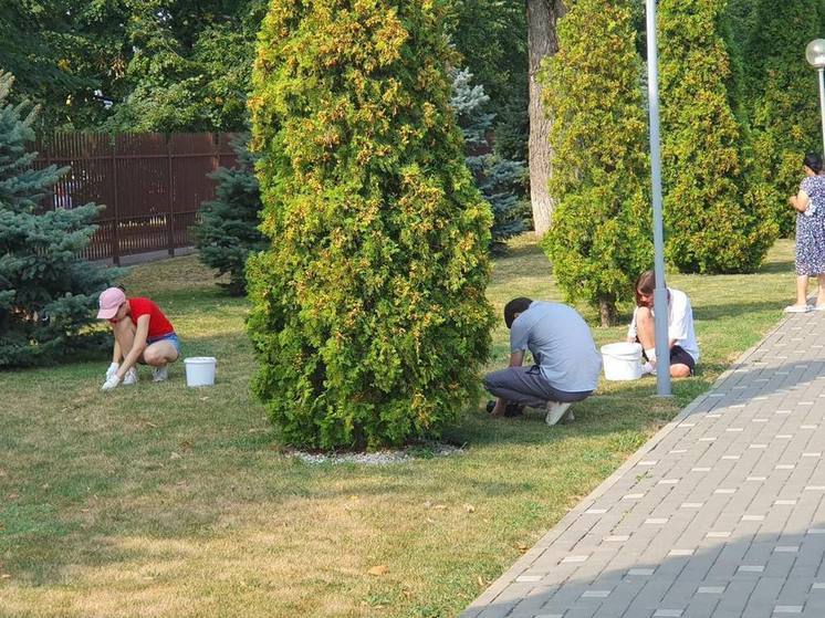 В Краснодаре в рамках осеннего марафона привели в порядок 64 детские и спортивные площадки