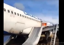 Причиной принятия экипажем самолета Airbus A320 «Уральских авиалиний» решения об экстренной посадке на поле в Новосибирской области могло стать недостаточное количество топлива