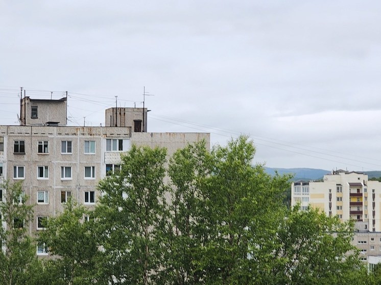 Уголовные дела завели на мурманчанина за стрельбу на Ледокольном проезде