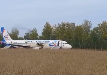 Пассажирам приземлившегося в поле в Новосибирской области Airbus должны выплатить компенсацию в размере 100 тысяч рублей