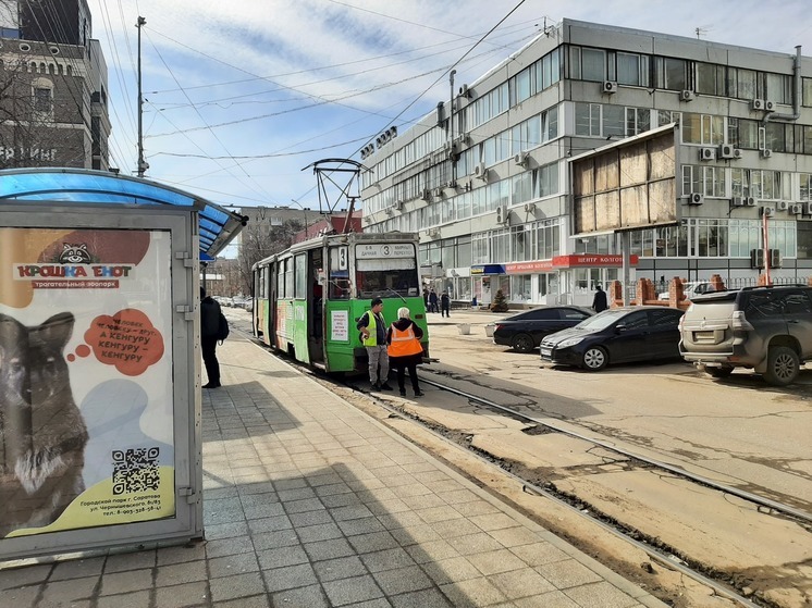 Более четверти саратовских автобусов не выходят на маршруты