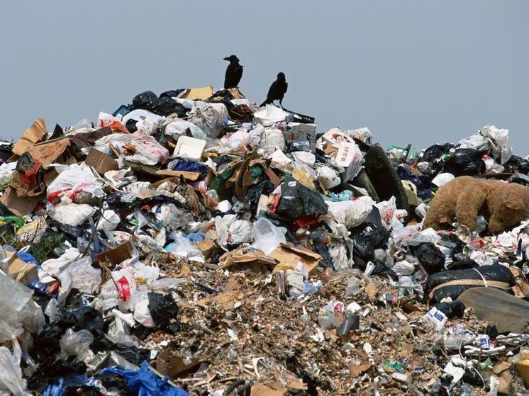 В Башкирии чиновников обязали ликвидировать стихийную свалку