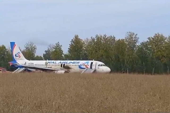 Пассажирам севшего в поле под Новосибирском Airbus выплатят компенсацию
