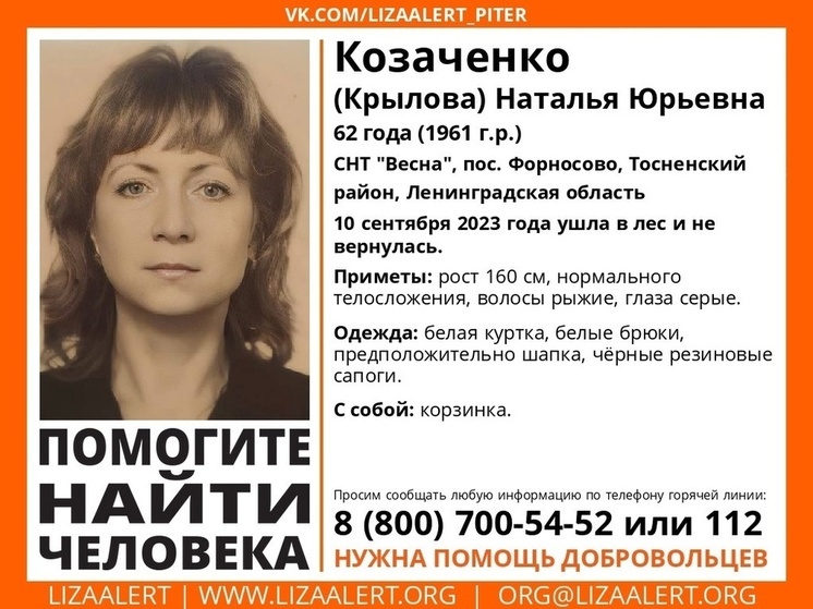 Женщину с корзиной третий день ищут в лесу под Тосно