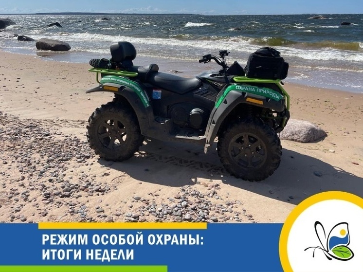 Почти 10 нарушителей оштрафовали в заказниках Ленобласти за неделю