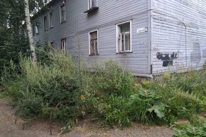 Проверяющие из мэрии нашли во дворах Петрозаводска нескошенную траву и мусор