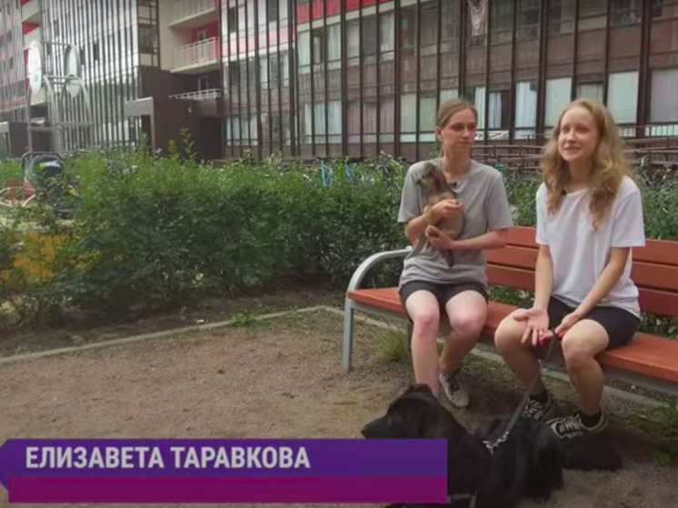 Активисты рассказали о девушке, спасающей животных в Петрозаводске и Петербурге