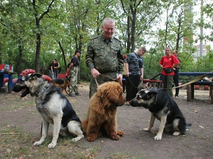 В Луганске наградили кинологов дрессировочной площадки