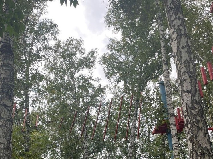 В Новосибирске ребенок сорвался с высоты в веревочном парке