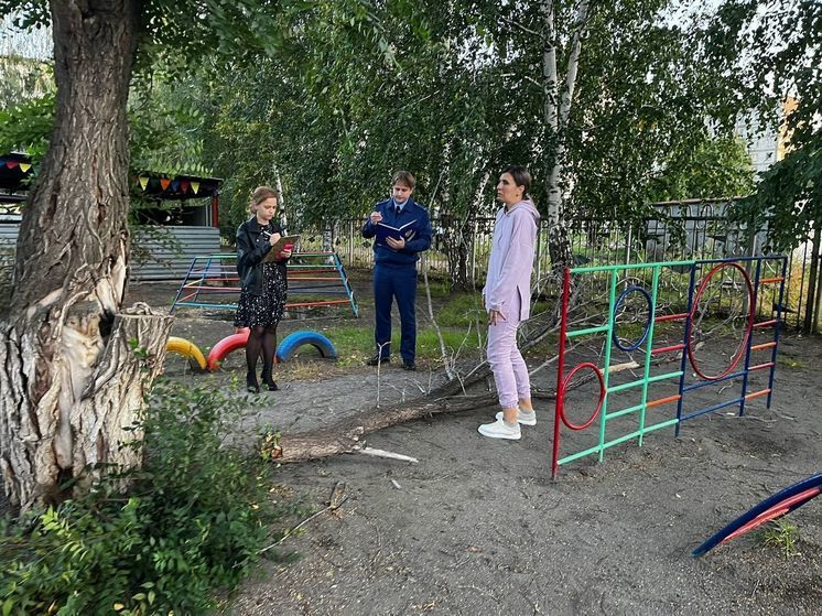 В Бийске на ребенка упала ветка во время прогулки в детском саду