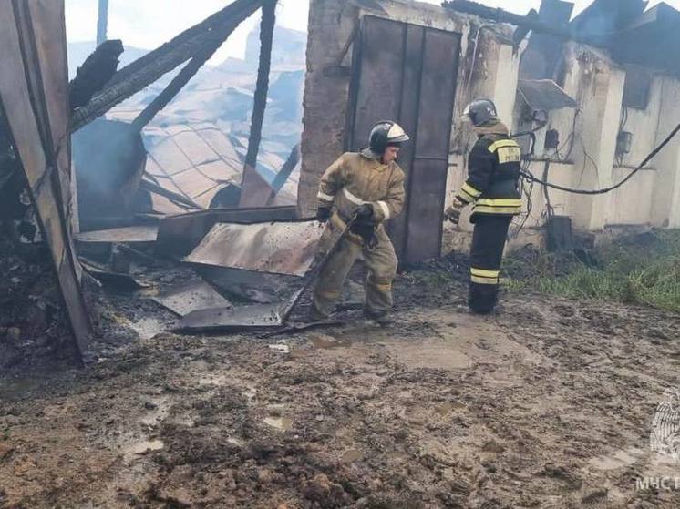 Появились фото пожара на складе под Новосибирском