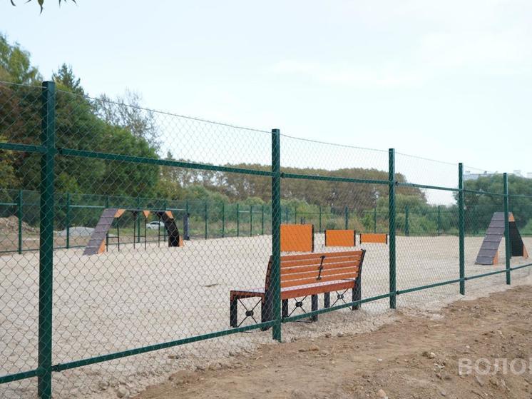 Специализированная площадка для выгула собак появится в Вологде
