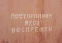 В начале 2000-х сотрудники УФСБ по Саратовской области «накрыли» в нашем городе уникальную мошенническую контору, занимавшуюся поставками на Запад «живого товара»