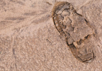 Уже 148 тысяч лет назад предки современного человека носили сандалии

