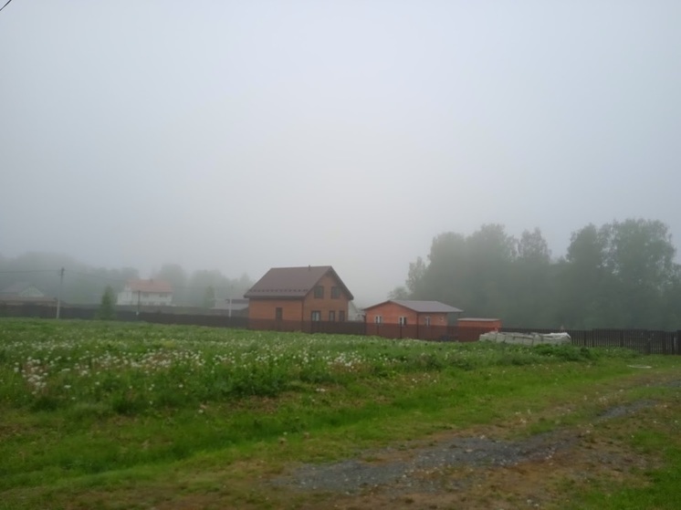 Пик сентябрьского холода зарегистрировали минувшей ночью в Подмосковье