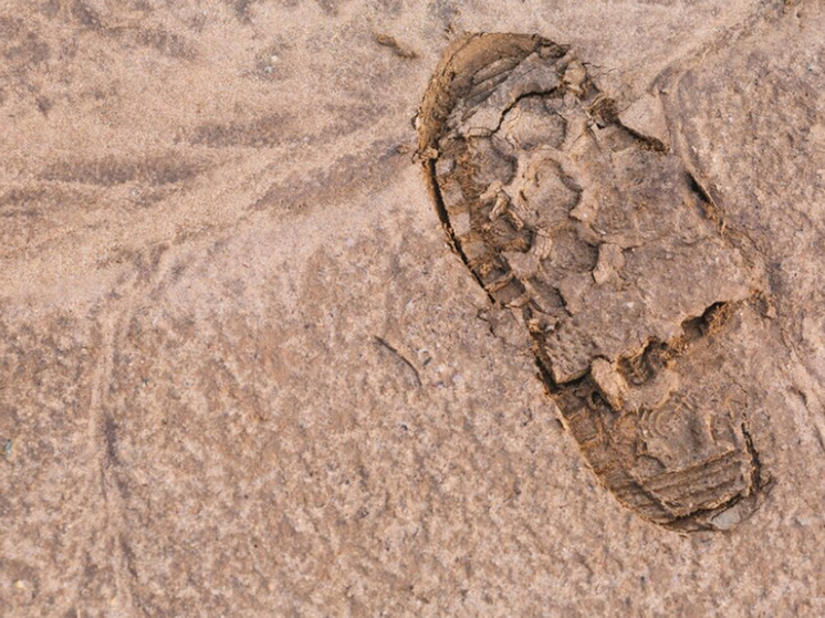 Уже 148 тысяч лет назад предки современного человека носили сандалии