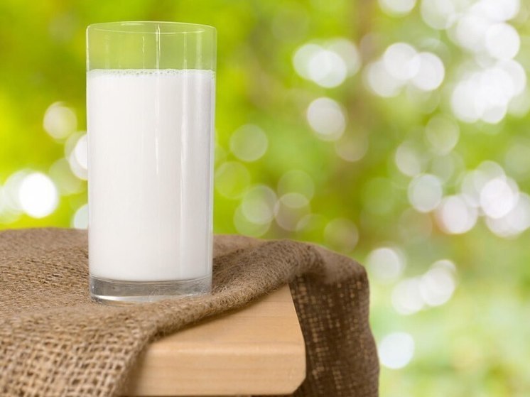 С начала года в Тульской области снизились цены на молоко