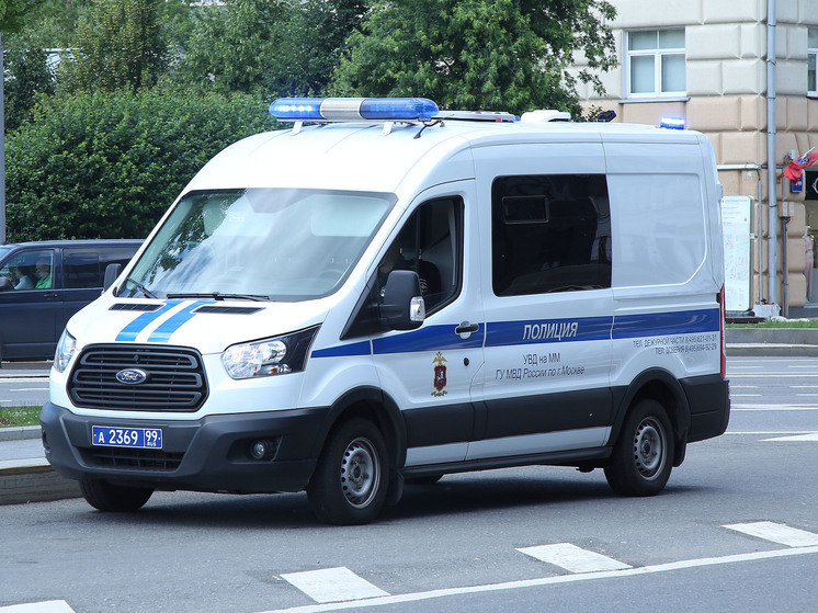 Егорьевск несколько дней терроризируют неизвестные злоумышленники