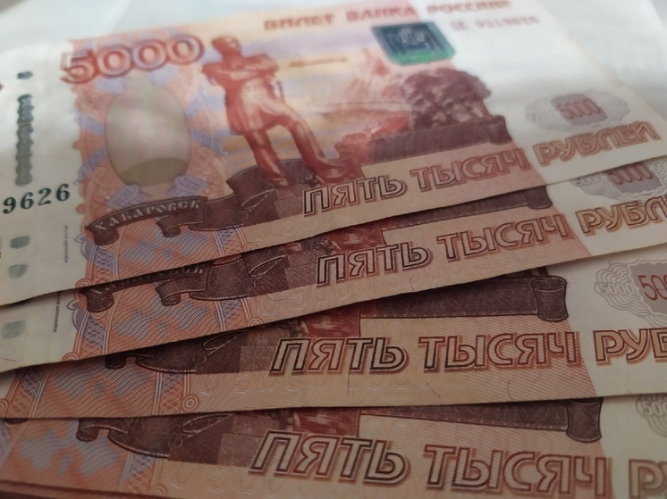 Более 20 миллиардов рублей планируется направить на соцподдержку вологжан в 2024 году