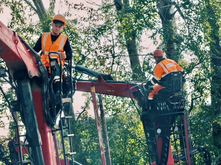 Сильнейшие экипажи лесовозов Segezha Group определили в Сегеже