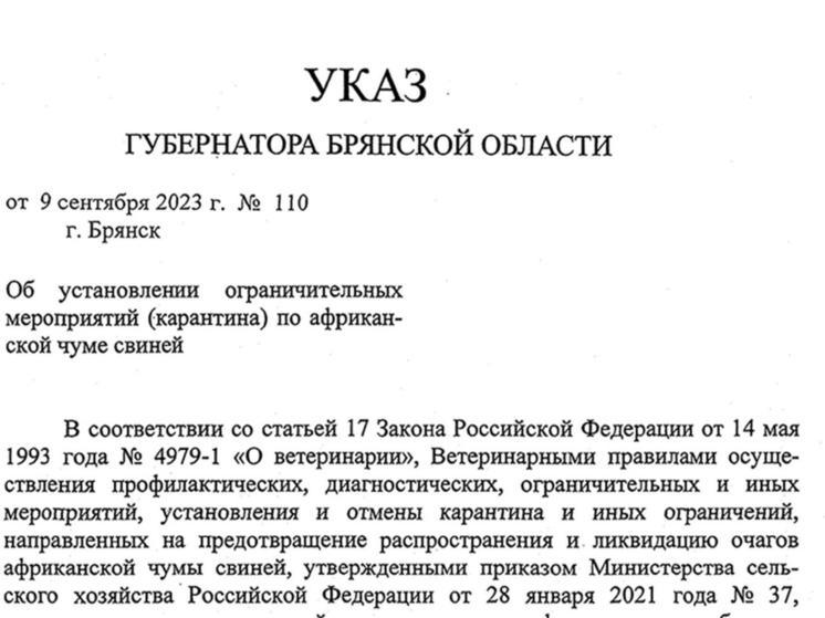В двух ТЦ "Европа" в Брянске нашли африканскую чуму