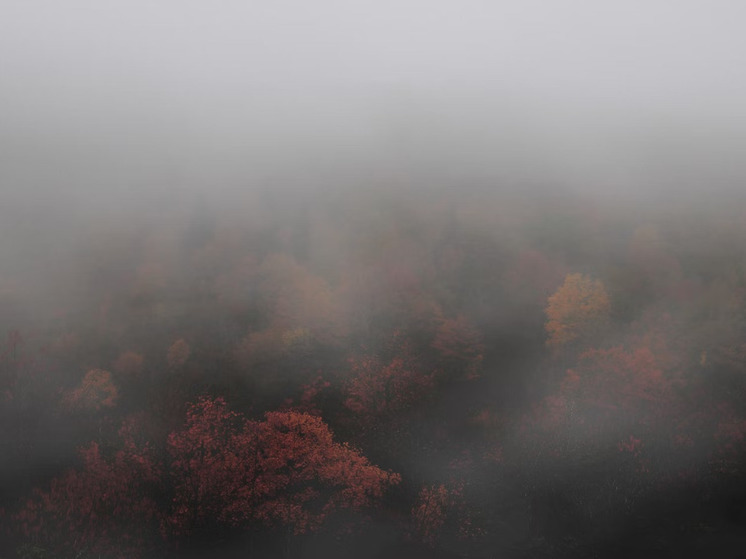 В ночь с 13 на 14 сентября на территории Удмуртии ожидается сильный туман