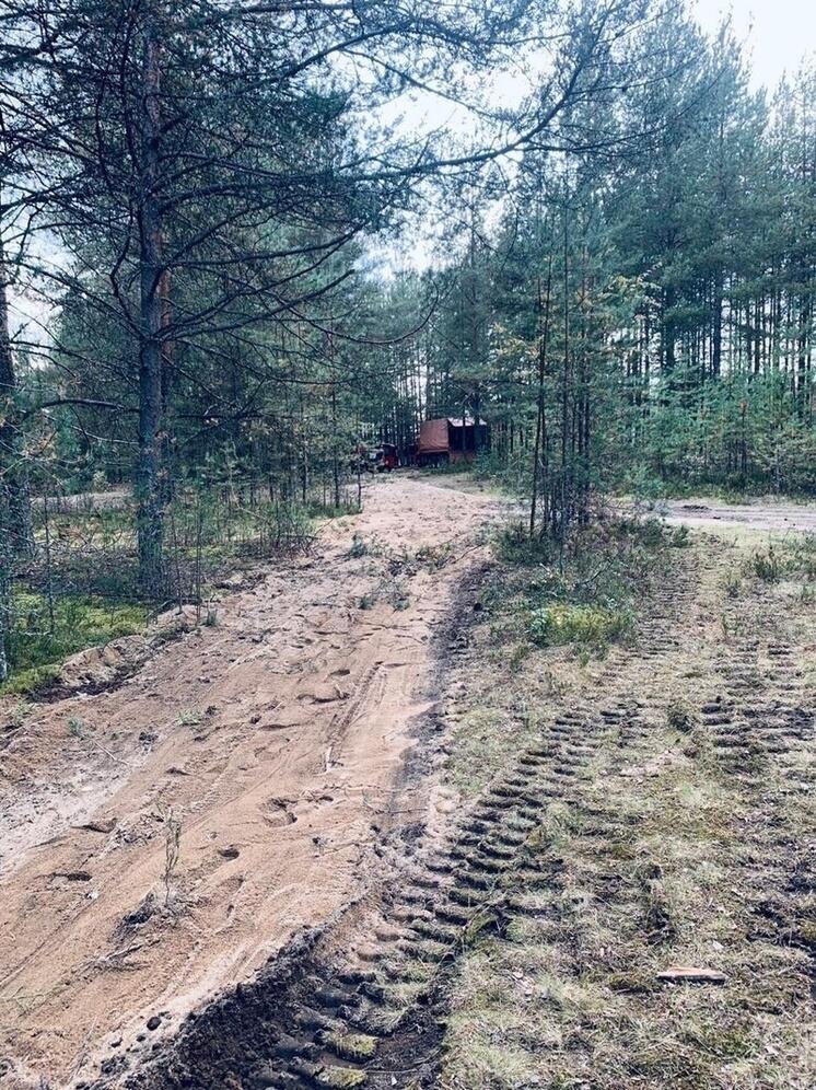 Рабочие разрыли излюбленное место отдыха в Медвежьегорске