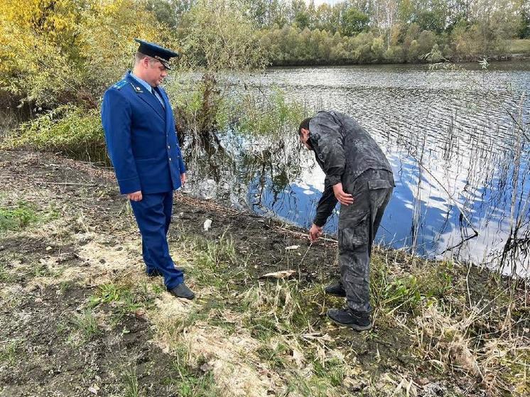 Прокуратура провела проверку  массовой гибели рыбы в Жердевском округе