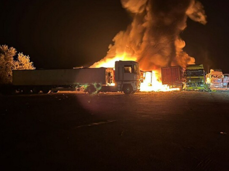 Экспортный потенциал украинских портов на Дунае сократился, заявили в Киеве