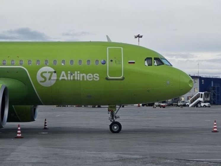 Рейс из Анадыря во Владивосток отложили из-за столкновения с чайкой