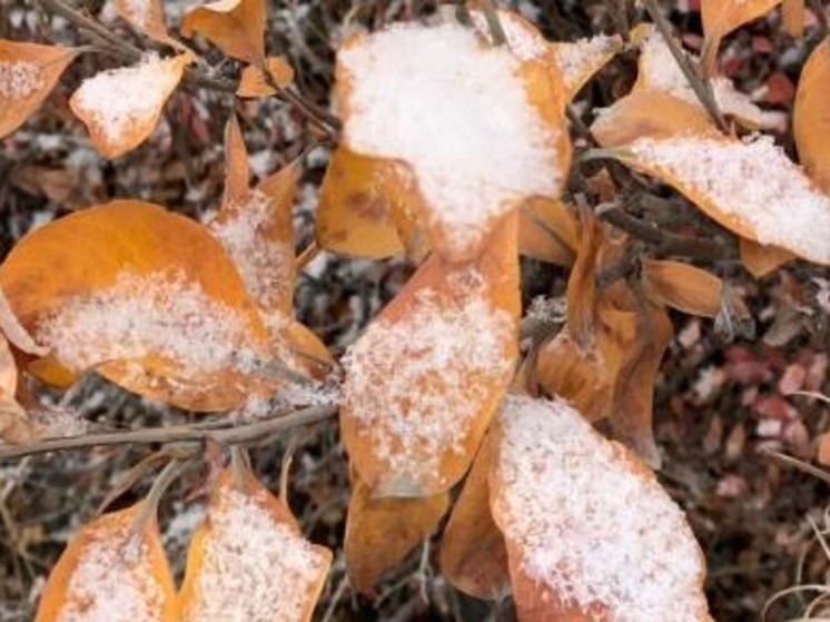 Дождь со снегом возможен на территории Чукотки в четверг