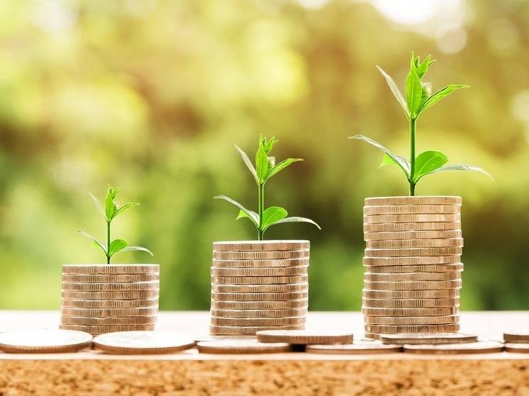 Минфин предложил ввести репатриацию валютной выручки российских экспортеров