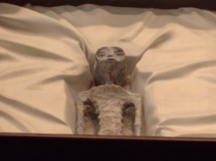 Мексиканскому сенату продемонстрировали останки мумий инопланетян: «Королева всех улик»