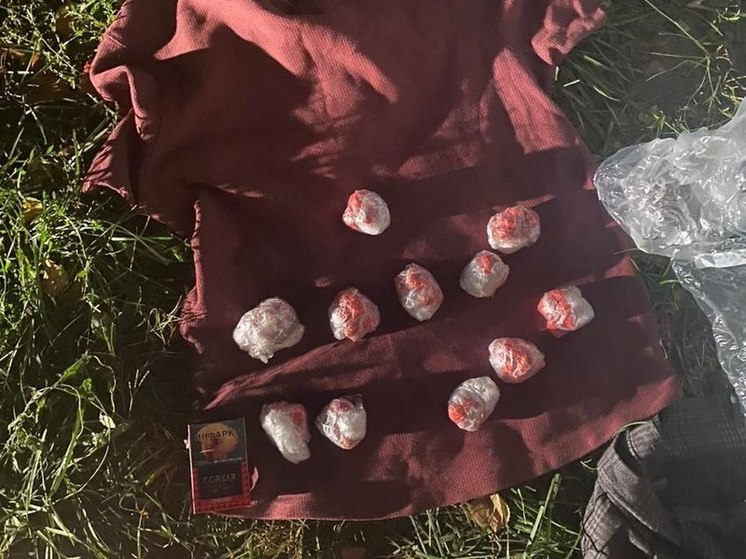 В Рыбном задержали двоих мигрантов с крупной партией наркотиков