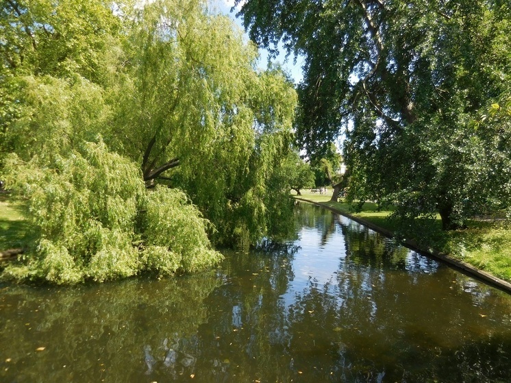 В Нижнем Новгороде открыли Международный конкурс-фестиваль «Территория завтра»