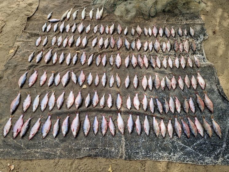 В акватории Цимлянского водохранилища задержали браконьера, ловившего рыбу сетями