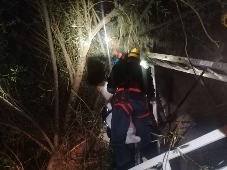 Новью уфимец выпал из окна дома и застрял в ветках деревьев