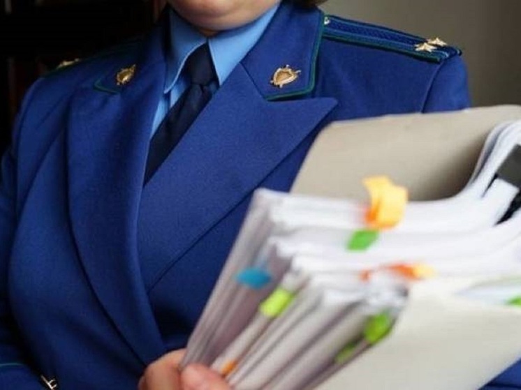 Ярославна добилась выделения пособия ребенку благодаря прокуратуре
