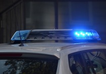 Мать четверых детей из Солтонского района применила насилие в отношении сотрудников полиции