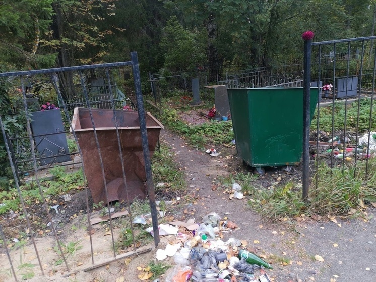 Власти Кондопоги просят не кормить медведей мусором на кладбищах