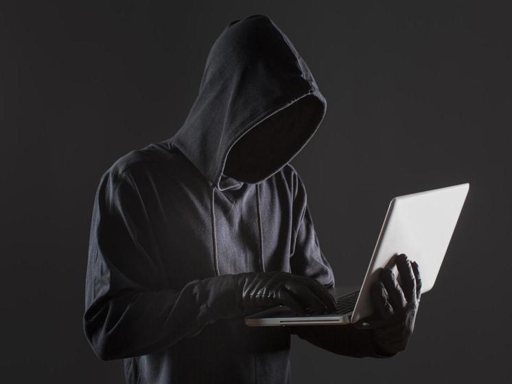 Двое жителей Марий Эл пытались устроить хакерскую атаку на компьютеры госорганизации